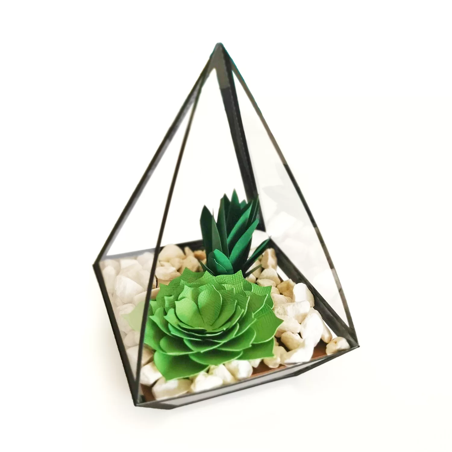 Terrário 3D